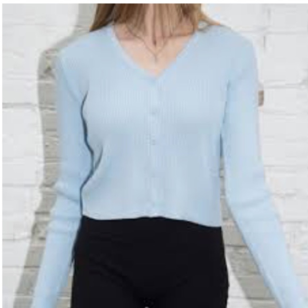 Brandy Melville Shannon sweater in blue